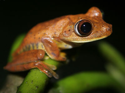 Explorando la Naturaleza de Ecuador