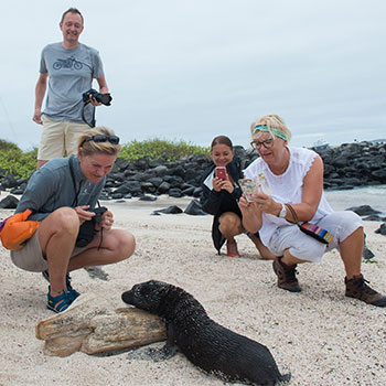 Galapagos Groups