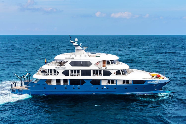 Cormorant II Cruise