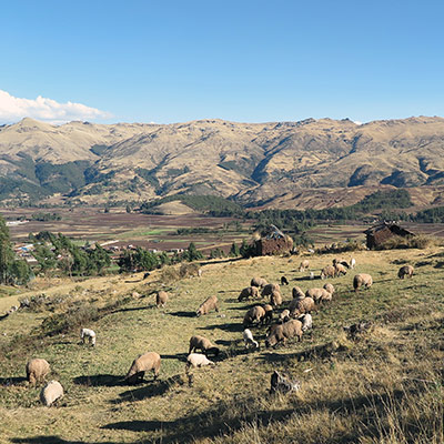 Sacred Valley
