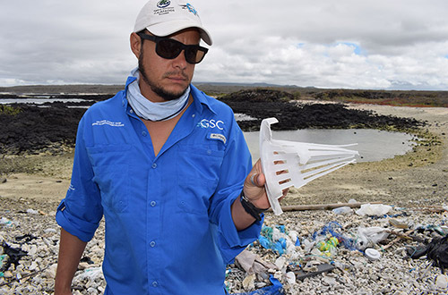 Plastic Pollution