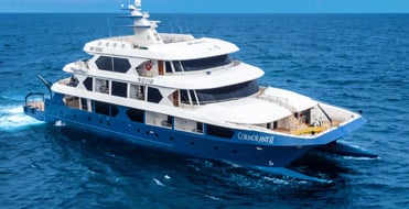 Cormorant II Luxury Yacht