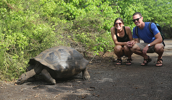 Wildlife Care