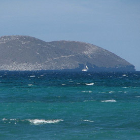 Daphne Major - Galapagos