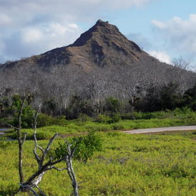 Dragon Hill - Santa cruz - Galapagos