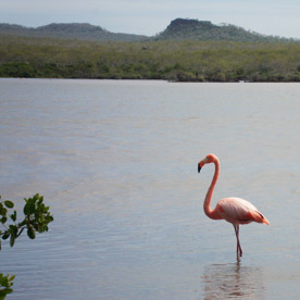 Isla Floreana