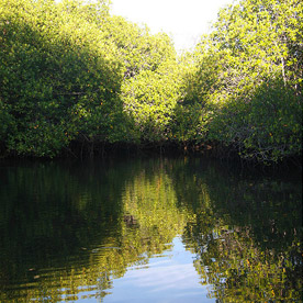 Isla Isabela