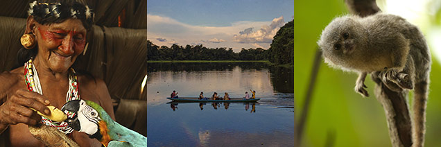 Rainforest Retreat In the Amazon’s Heart