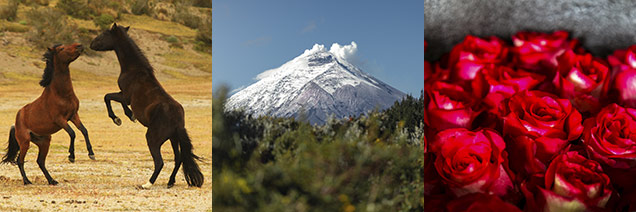 Volcanoes, Valleys & Culture