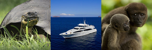 From Galapagos to the Amazon Rainforest