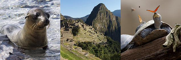Peru, Galapagos & Amazon