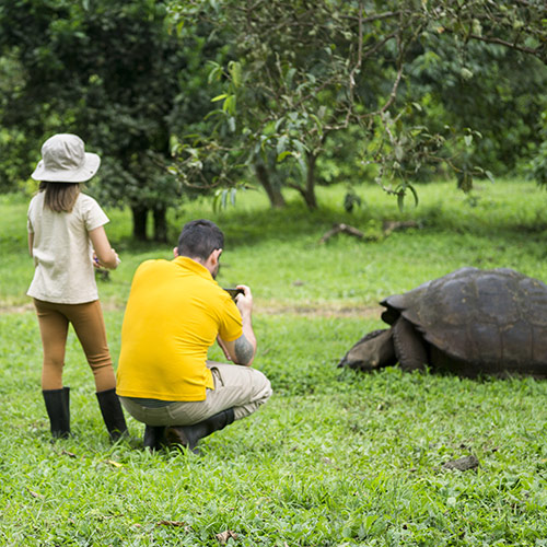Galapagos Highlands