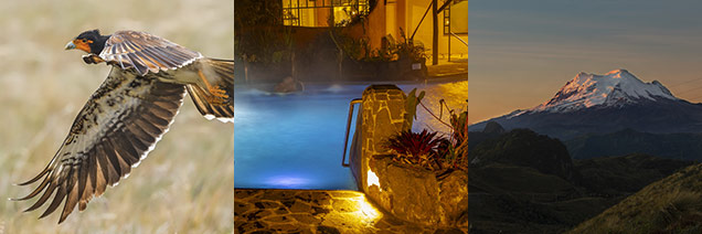 Cotopaxi Day Adventure