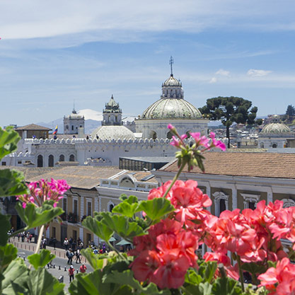  Complemente su viaje en Galápagos