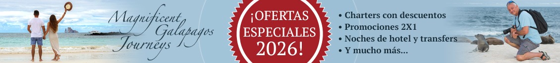 Galapagos Promotions