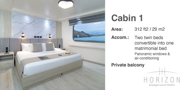 Cabin 1