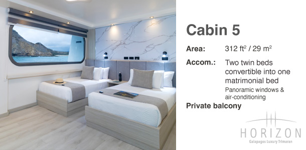 Cabin 5