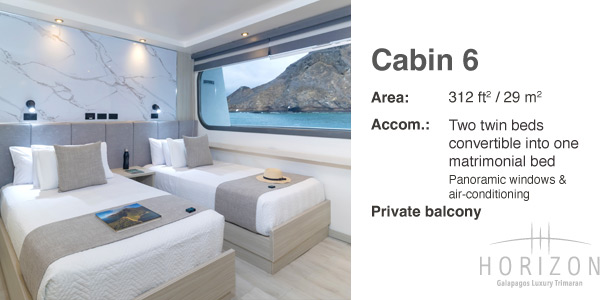 Cabin 6