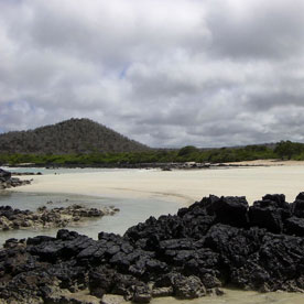 Lava rocks of Garrapatero at Santa Cruz