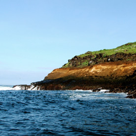 Punta Vicente Roca, Isabela Island
